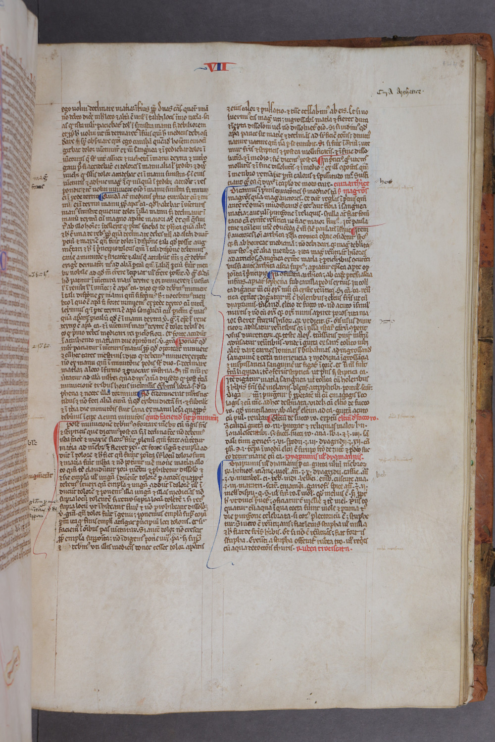 Folio 144 recto